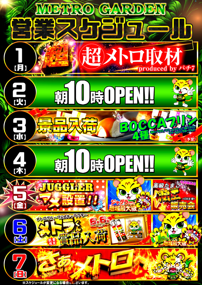 スケジュール