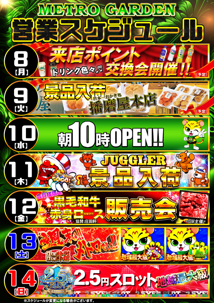 スケジュール