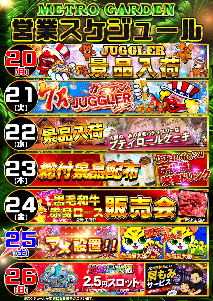 スケジュール