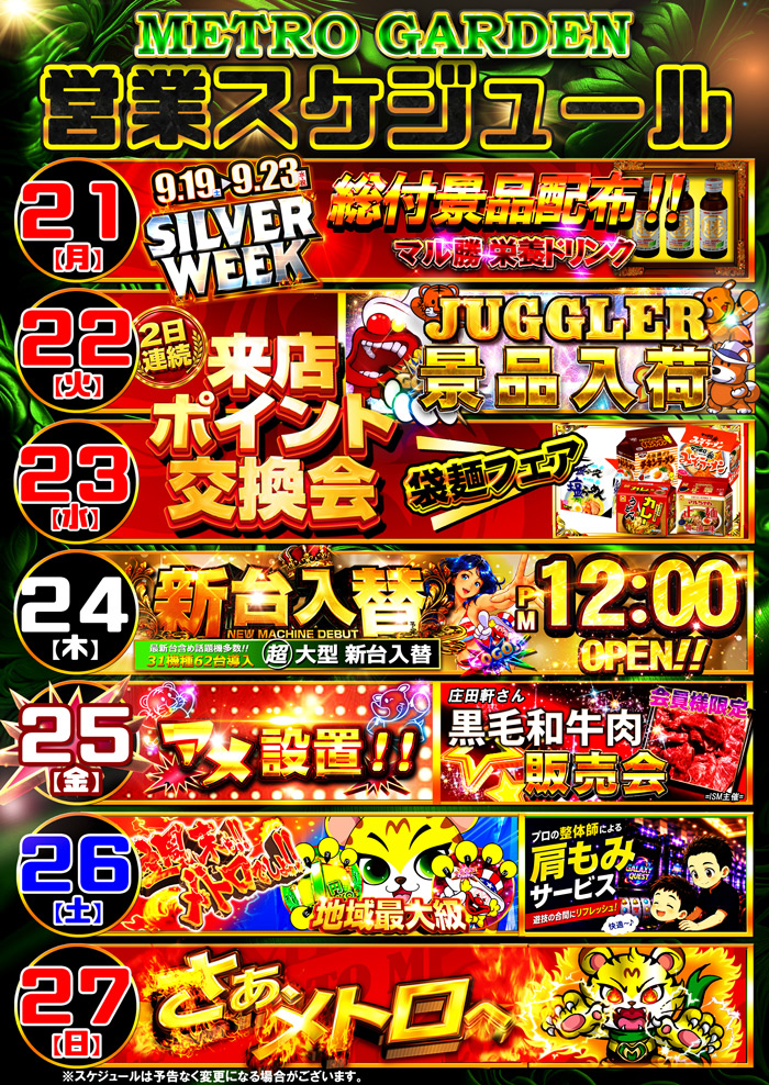 スケジュール